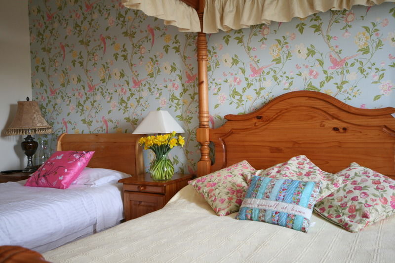 Graiguenamanagh Brandon View House B&B المظهر الخارجي الصورة