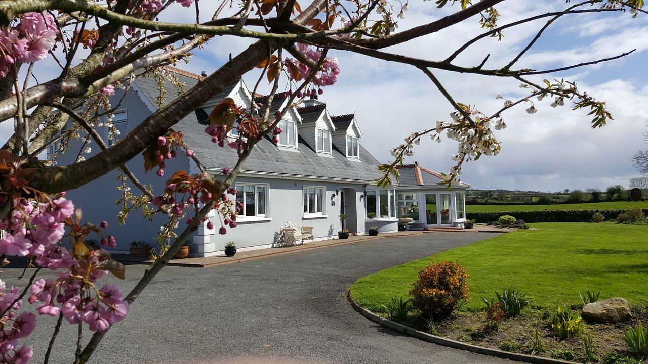 Graiguenamanagh Brandon View House B&B المظهر الخارجي الصورة