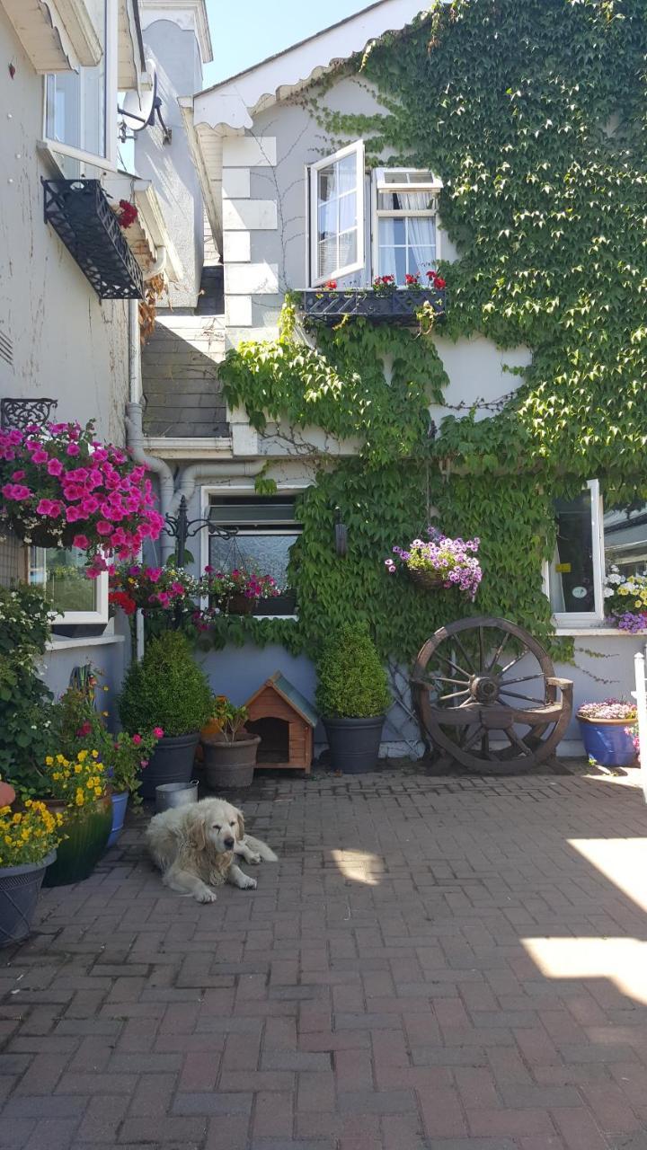 Graiguenamanagh Brandon View House B&B المظهر الخارجي الصورة