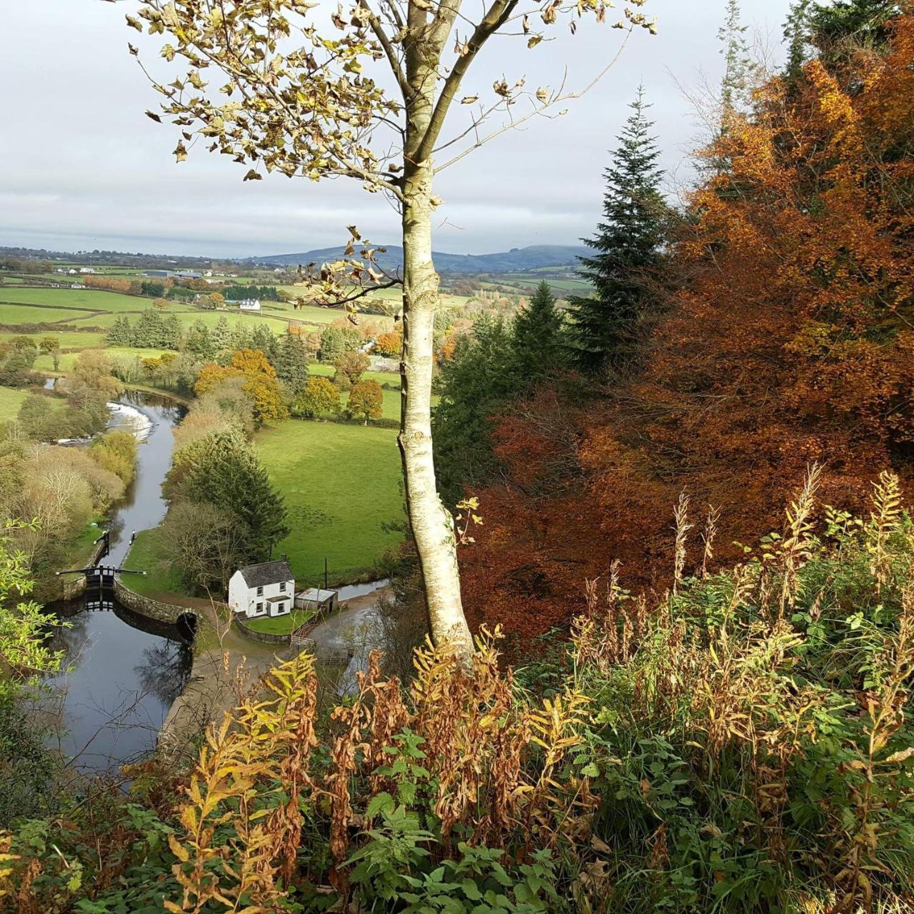 Graiguenamanagh Brandon View House B&B المظهر الخارجي الصورة